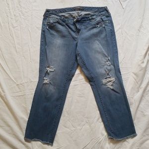 Torrid Jeans
